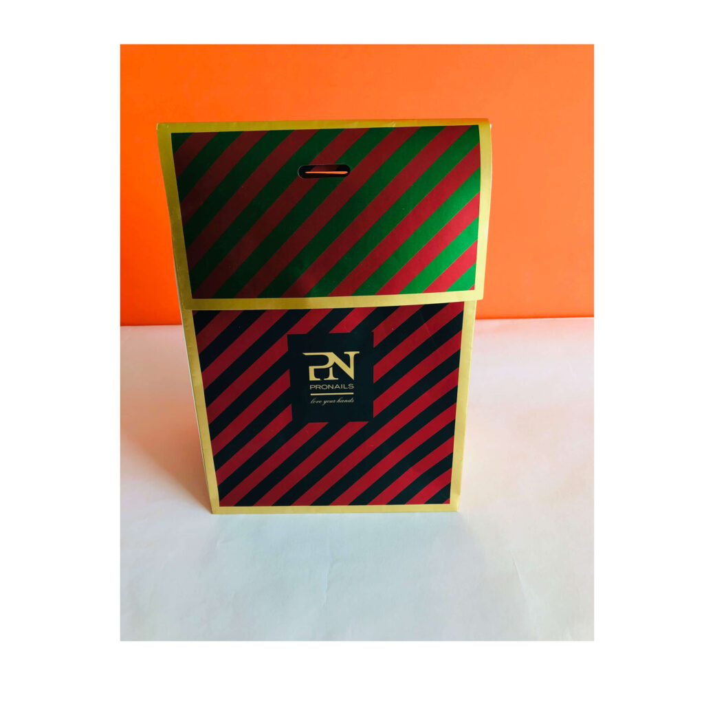 HB-016 Customized Paper Bag