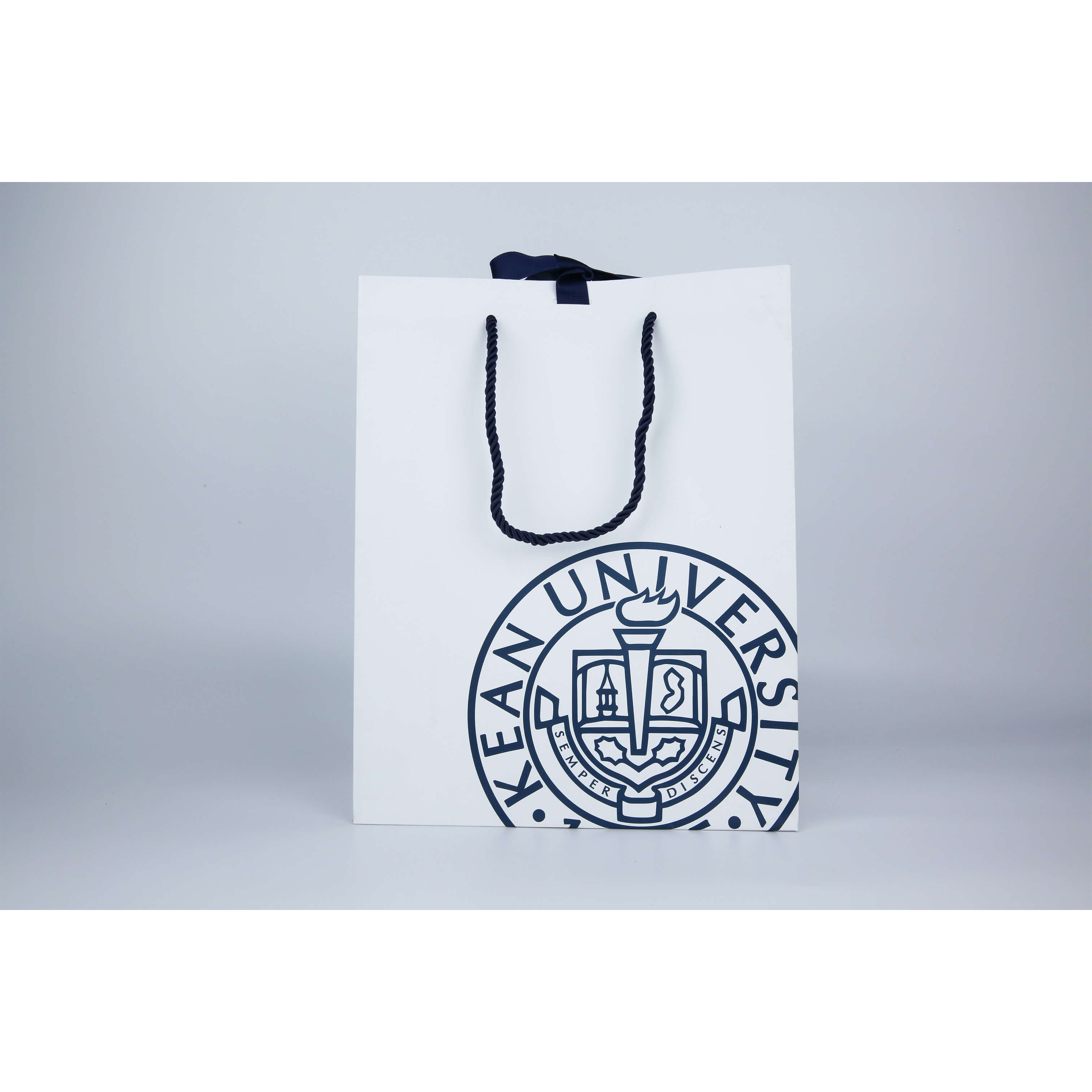 HB-026 Customized Paper Bag