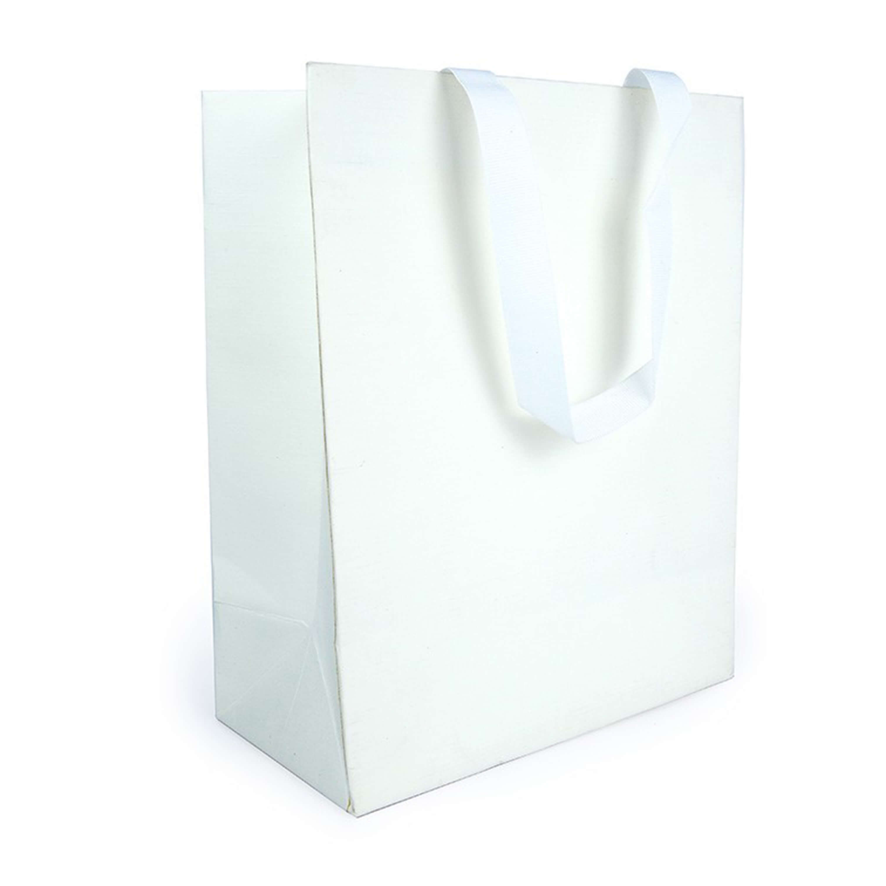 HB-028 Customized Paper Bag