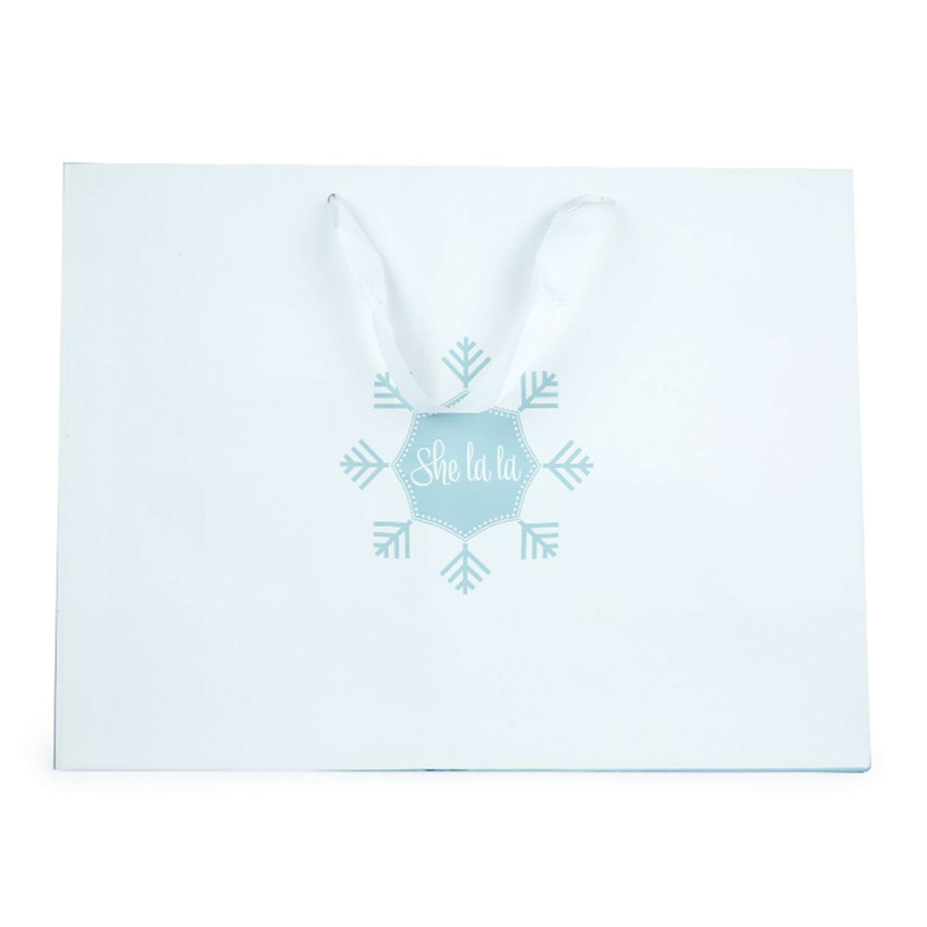 HB-029 Customized Paper Bag