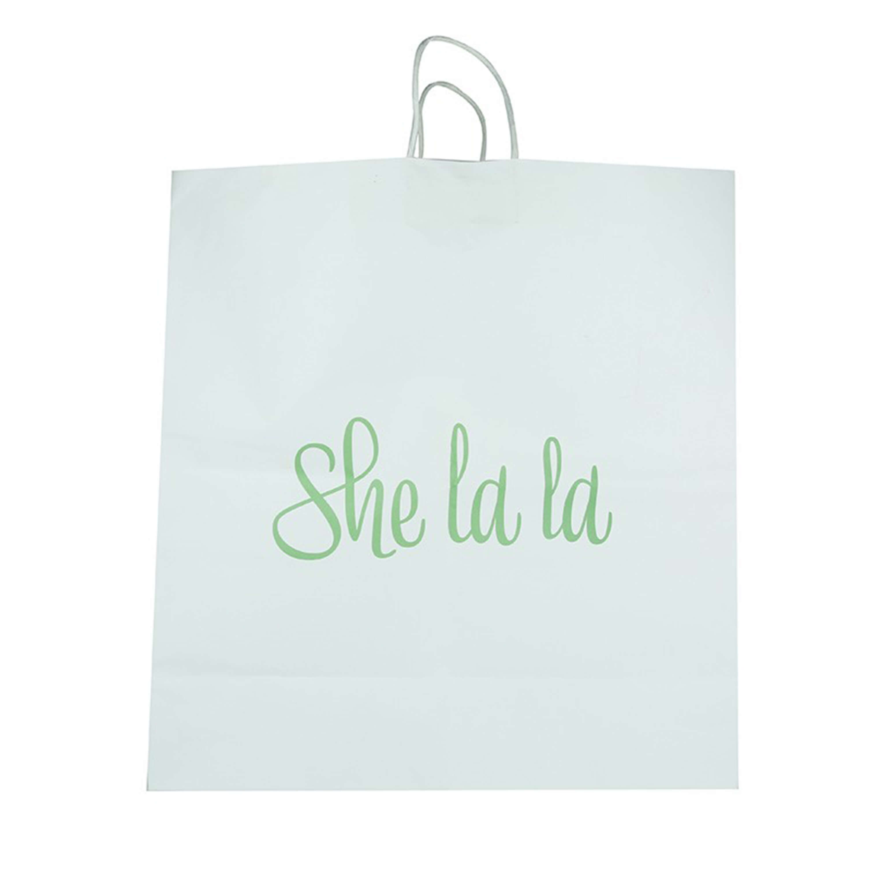HB-030 Customized Paper Bag