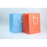 HB-035 Customized Paper Bag
